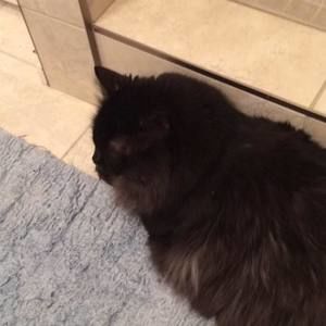 Meet your Posher, Ann-britt